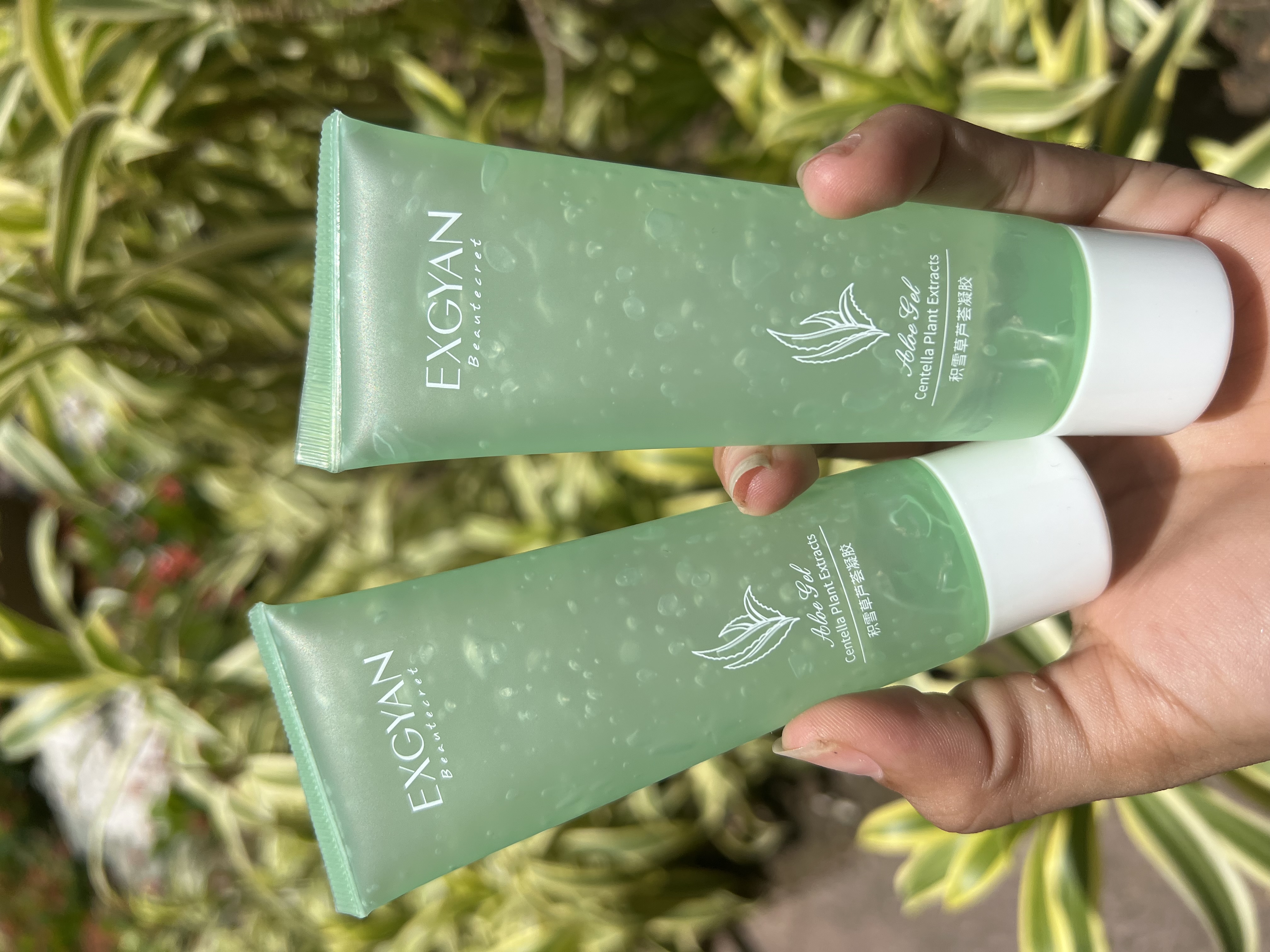 Gel Facial de Aloe Vera Hidratante